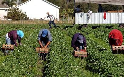 Funding opportunity: San Joaquin Valley Health Fund COVID-19 Farmworker ...